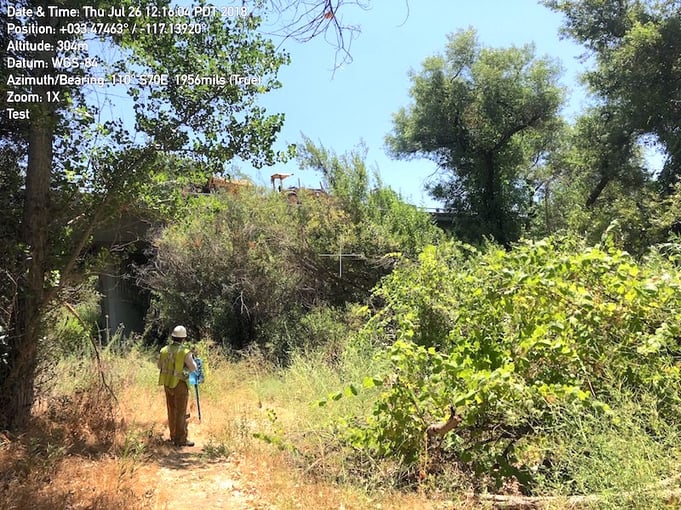 Man wearing a hardhat, pants and a safety vest is looking toward an overgrown highway underpass to assess wildlife crossing potential.