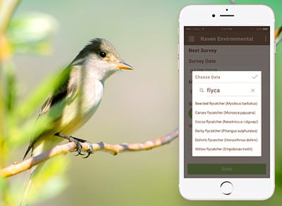 Small bird sitting on branch, alongside close-up of mobile phone showing app with different bird species.