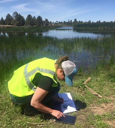 Environmental Field Data Collection Apps - 10 Essential Questions