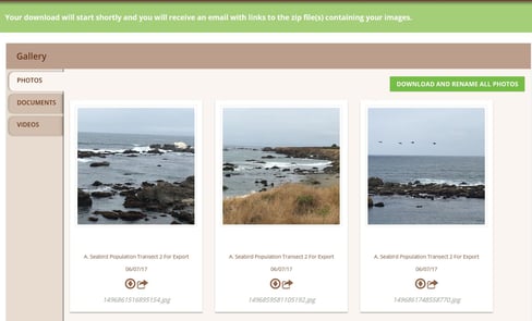 Once you click "Download and Rename All Photos" Wildnote sends a link to your email. Image of Wildnote photo gallery screenshot showing green indicator status bar informing user of zip file download.