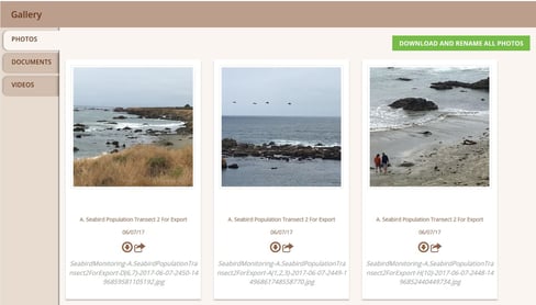 Wildnote makes it easy to rename all of your project images! Image of Wildnote photo gallery screenshot showing how the image name automatically changed to the project details after bulk photo download.