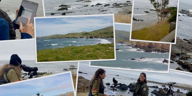 Biological Surveys: Easy Photo Capture and Management