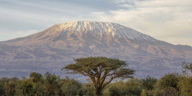 Environmental Leadership: Outdoor Afro Elevates Wildnote App