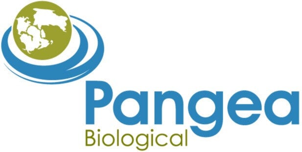 pangea logo