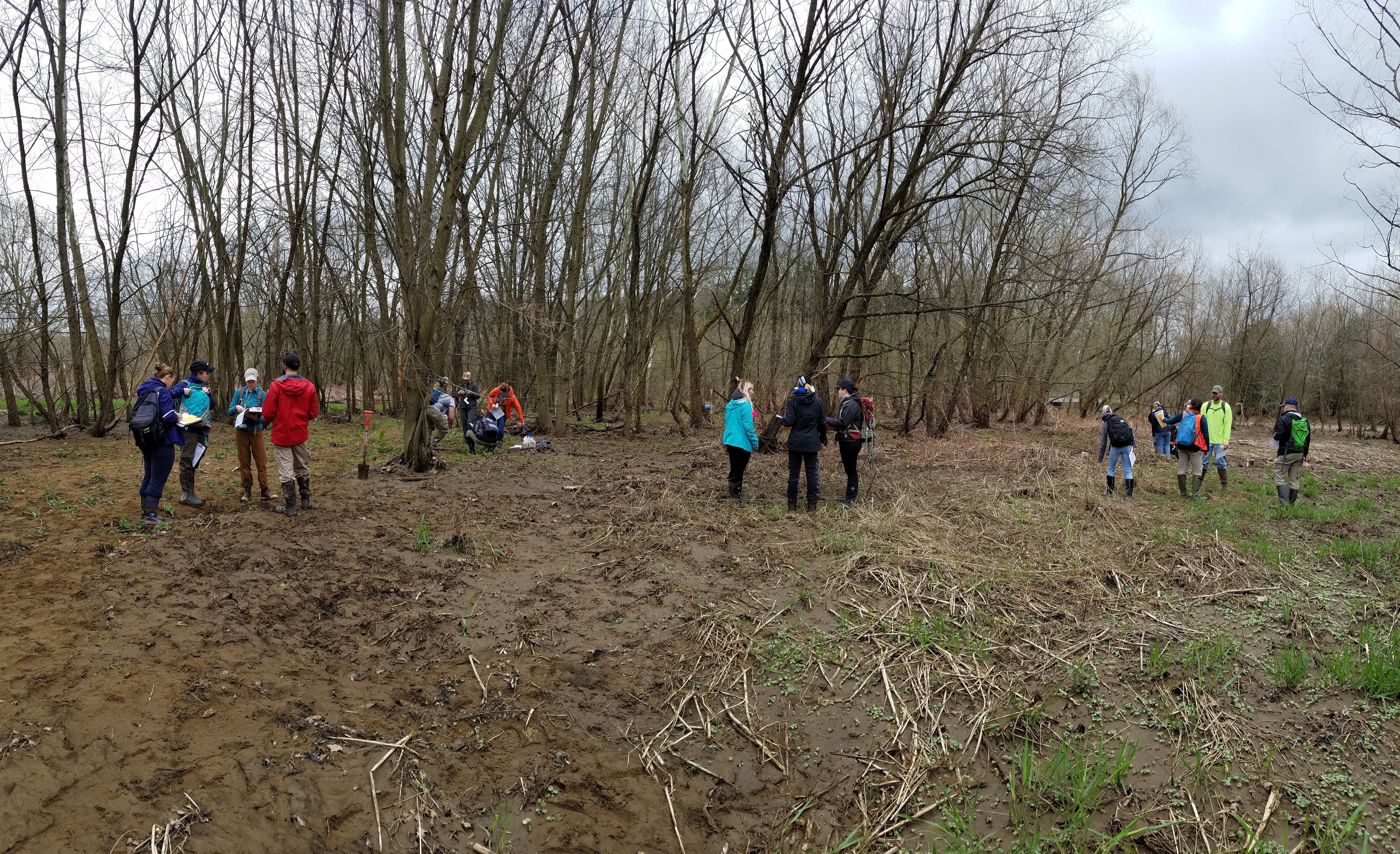 Five groups of four people taking notes are scattered throughout a muddy clearing with a stand of bare trees in the background.