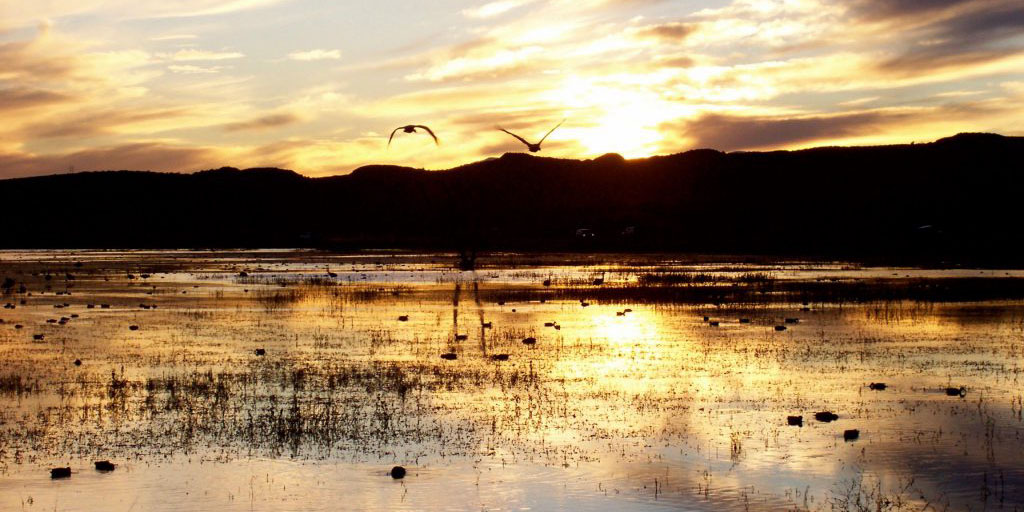 Wetland Delineation: USACE Pioneer